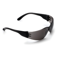 PRO CHOICE Tsunami Safety Glasses (SMOKE)  (CARTON OF 288)