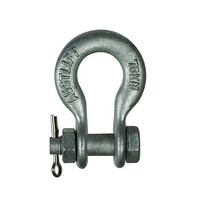 AUSTLIFT Bow Shackle for Powerlines 70kN 16mm