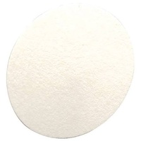 MSA Hydrophobic Inlet Filter for Altair 5/5X
