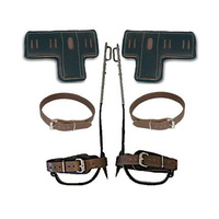 Buckingham Steel Short Spur Kit with T-Pads and Leather Leg Straps