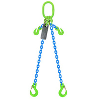 AUSTLIFT Grade 100 2 Leg 6mm Chain Sling w/ Clevis Sling Hooks 1.4T 2M