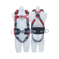 PROTECTA PRO All Purpose Harness w/ Side D Pole Strap Rings