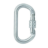 SKYLOTEC Steel Oval Screw Gate Silver Carabiner