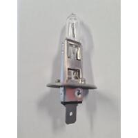 Replacement 12V Halogen Globe 55 Watt (BOX OF 2)