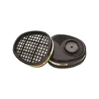 PRO CHOICE ABEK1 Chemical Filter (1 PAIR)