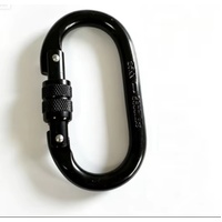 Screw Gate Oval Shaped Steel Carabiner 25kN