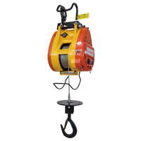 TOHO Compact Wire Rope Builders Hoist 250kg Capacity